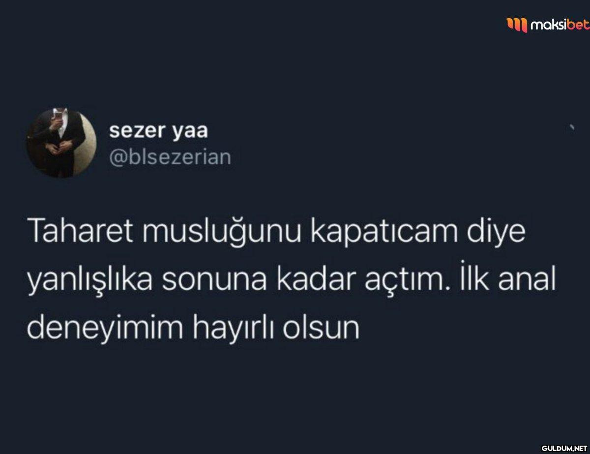 sezer yaa @blsezerian...