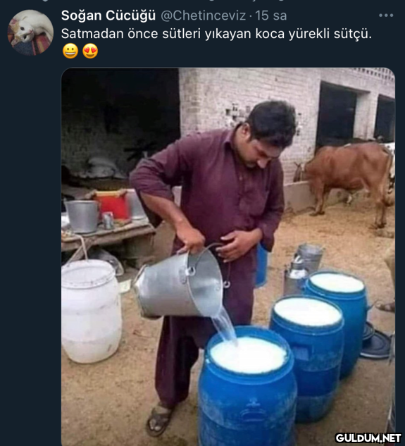 Soğan Cücüğü @Chetinceviz...