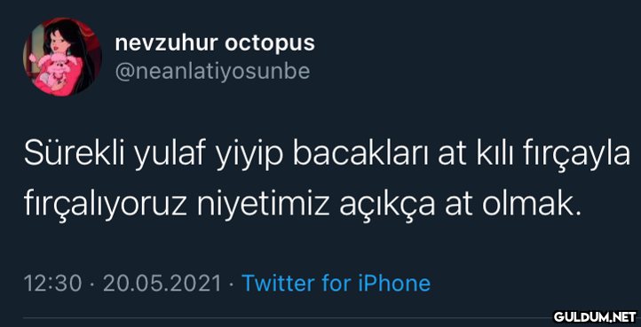 nevzuhur octopus...