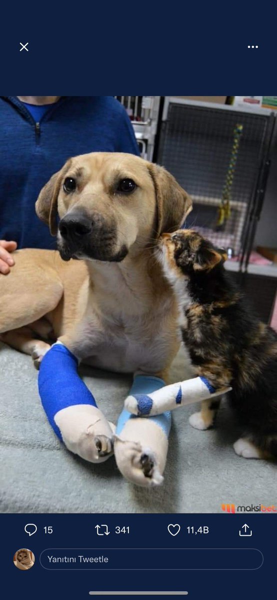 Best Friends Forever...