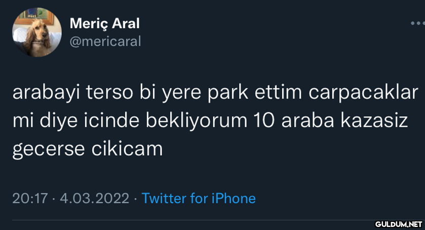 Mast Meriç Aral @mericaral...