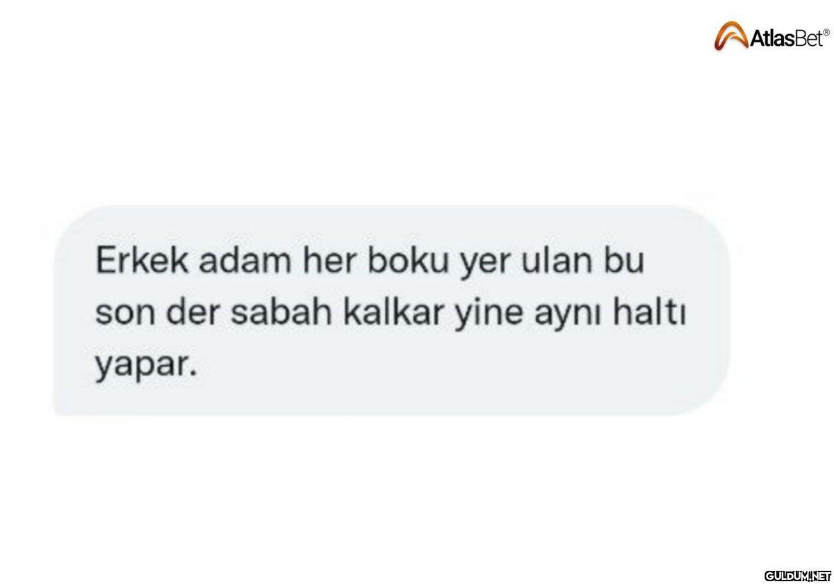 Erkek adam her boku yer...