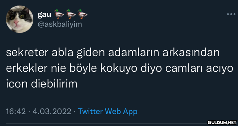 gau @askbaliyim sekreter...