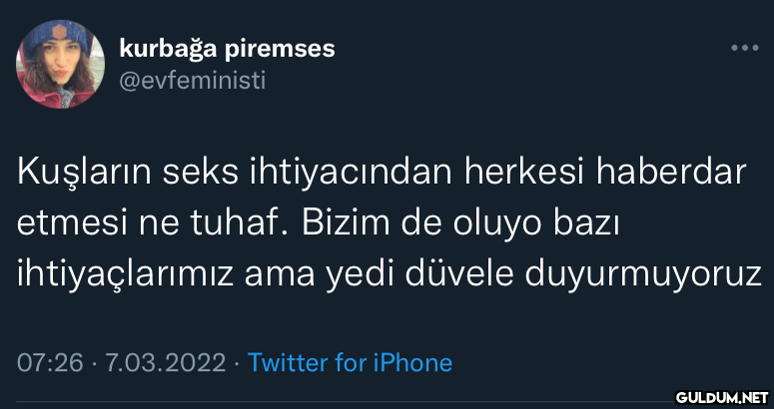 kurbağa piremses...