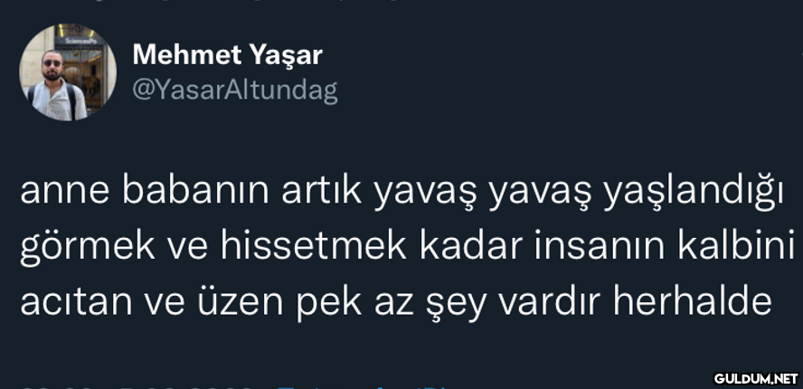 Mehmet Yaşar...