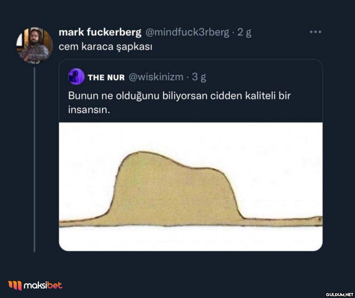 mark fuckerberg...