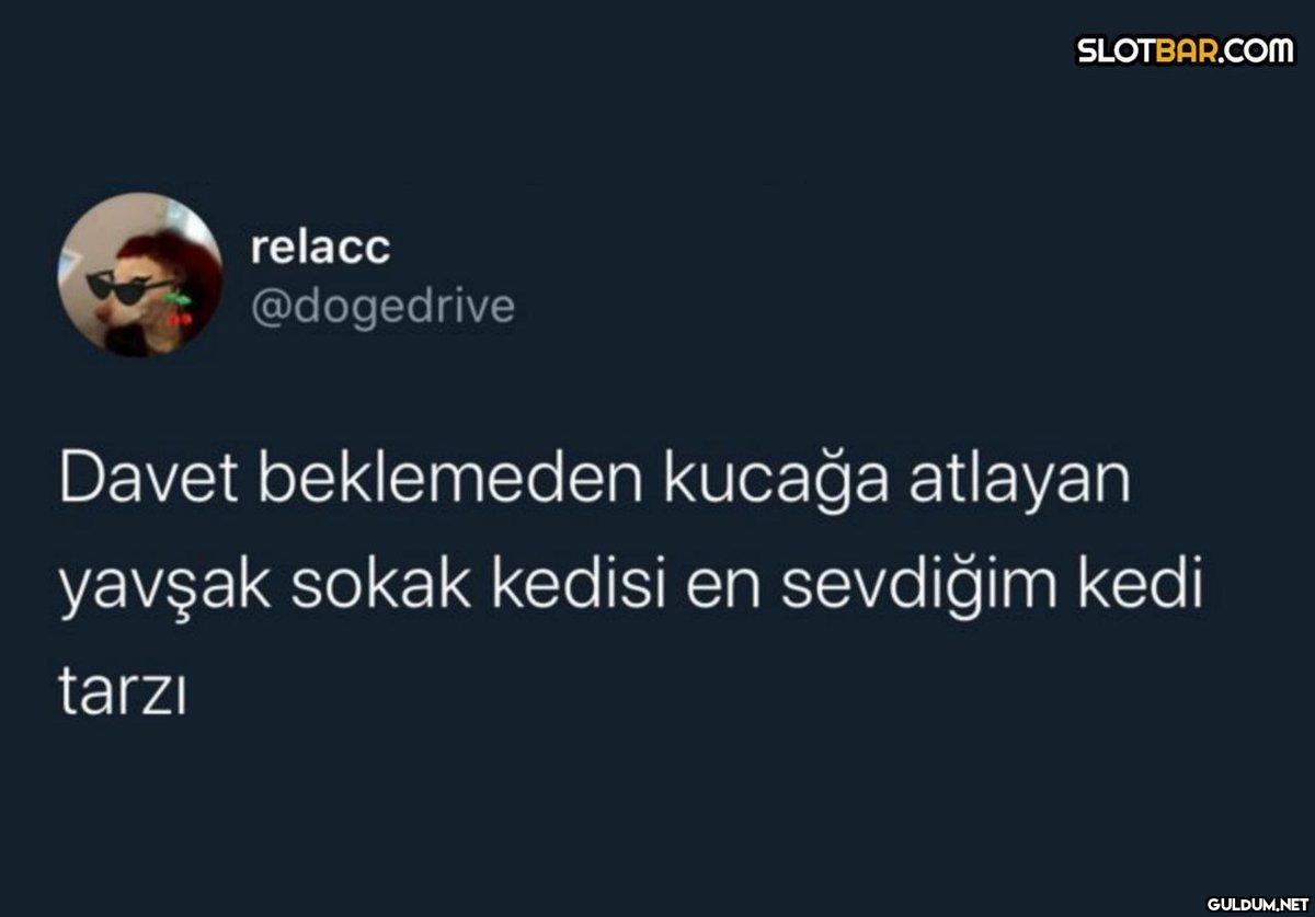 relacc @dogedrive...