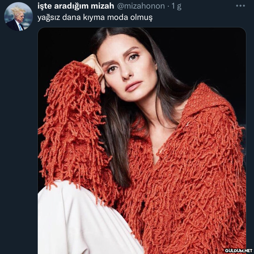 işte aradığım mizah...