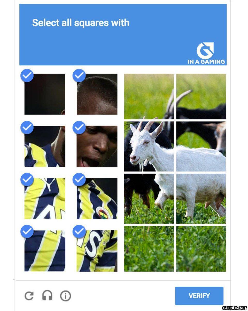 Google'ın kabul ettiği...