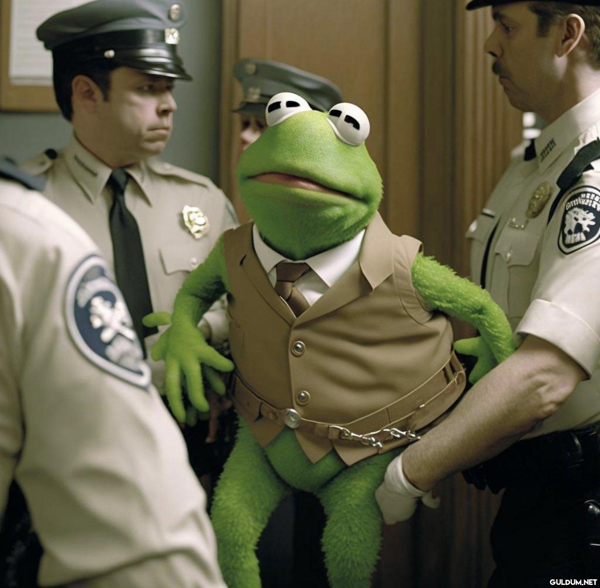 Kermit is arrested...