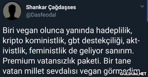 n Biri vegan olunca...