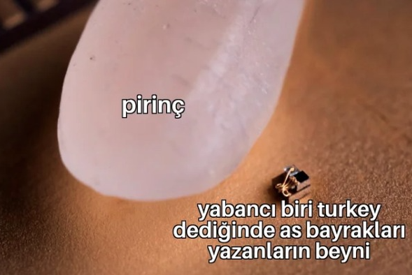pirinç yabancı biri turkey...