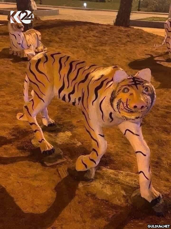 Irak'ın Divaniye...