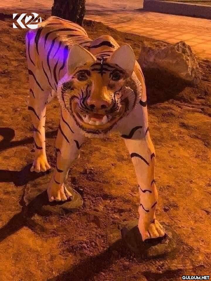Irak'ın Divaniye...