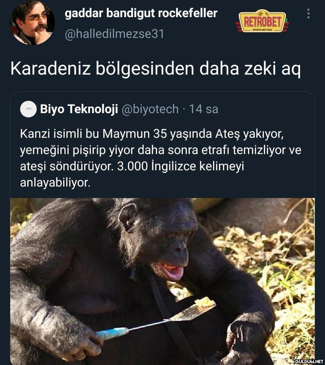 gaddar bandigut...