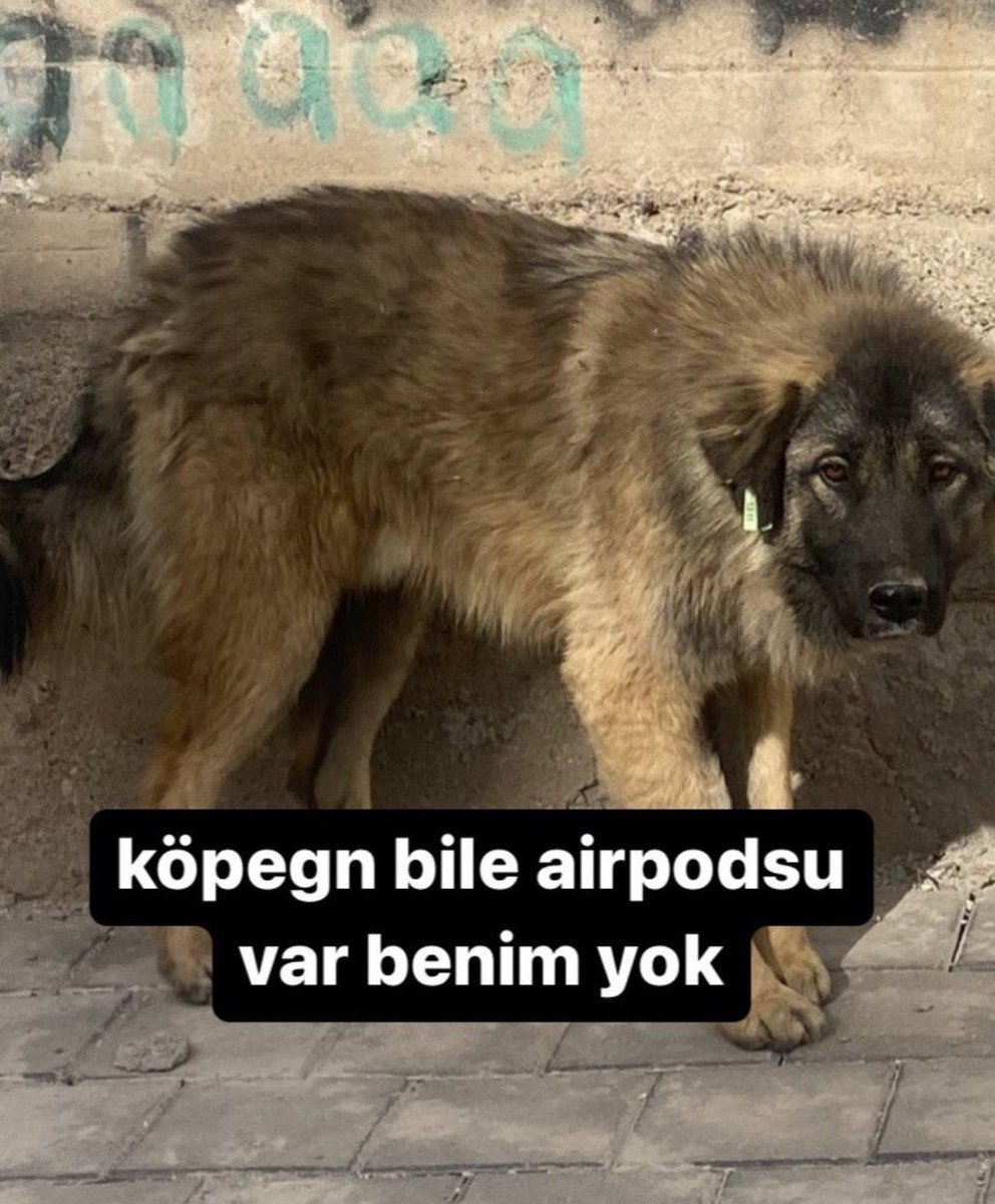 mahvoldum....