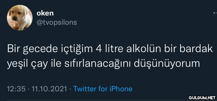 oken @tvopsilons Bir...