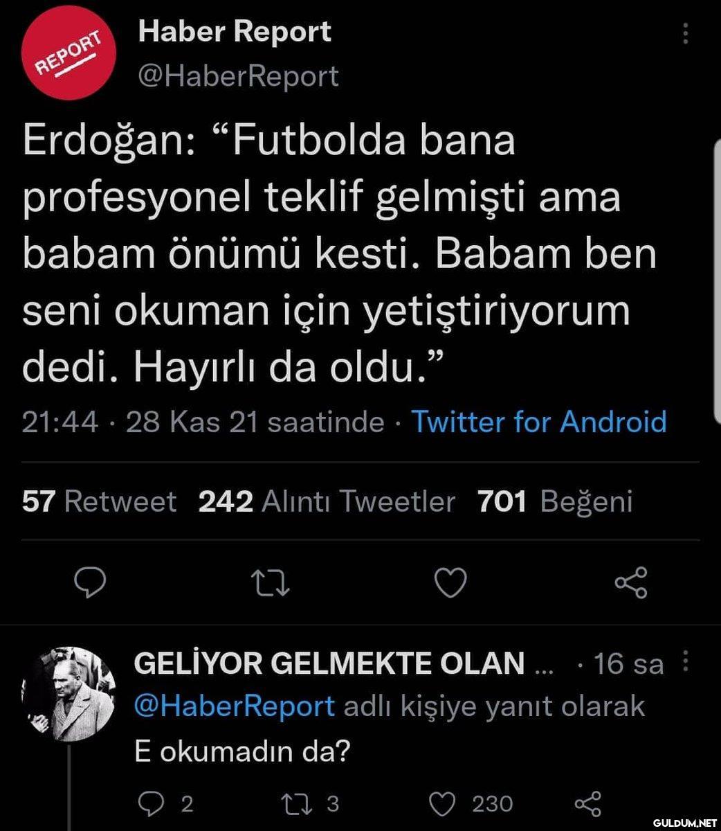 REPORT Haber Report...