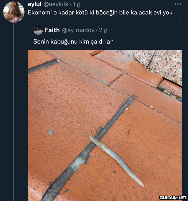 eylul @ueyluls. 1 g...