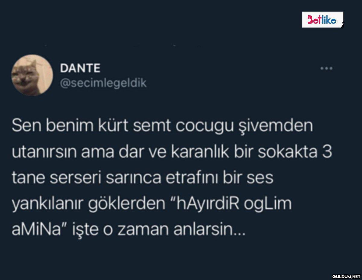 DANTE @secimlegeldik...