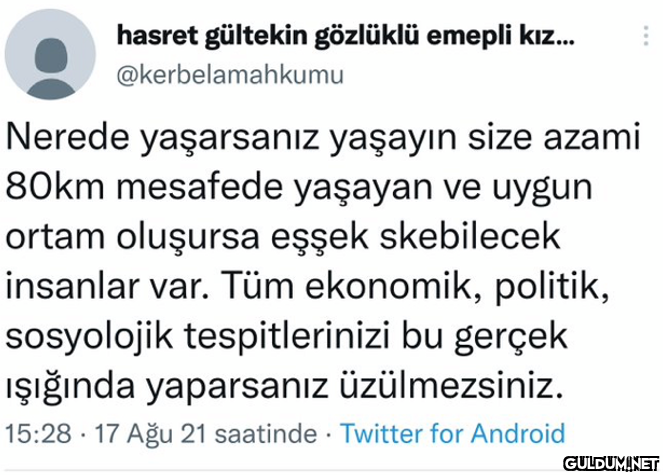 hasret gültekin gözlüklü...
