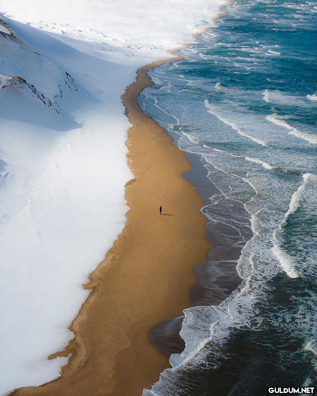 🗾 Kar, kumsal ve denizin...