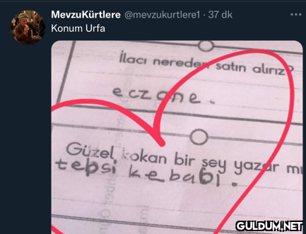 MevzuKürtlere...