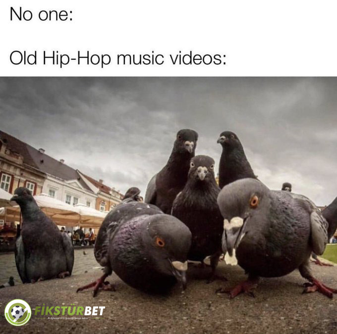 No one: Old Hip-Hop music...