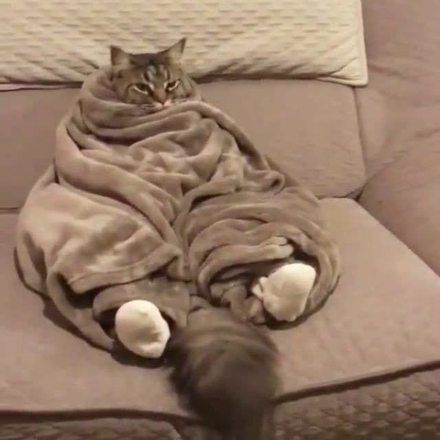 Mood...