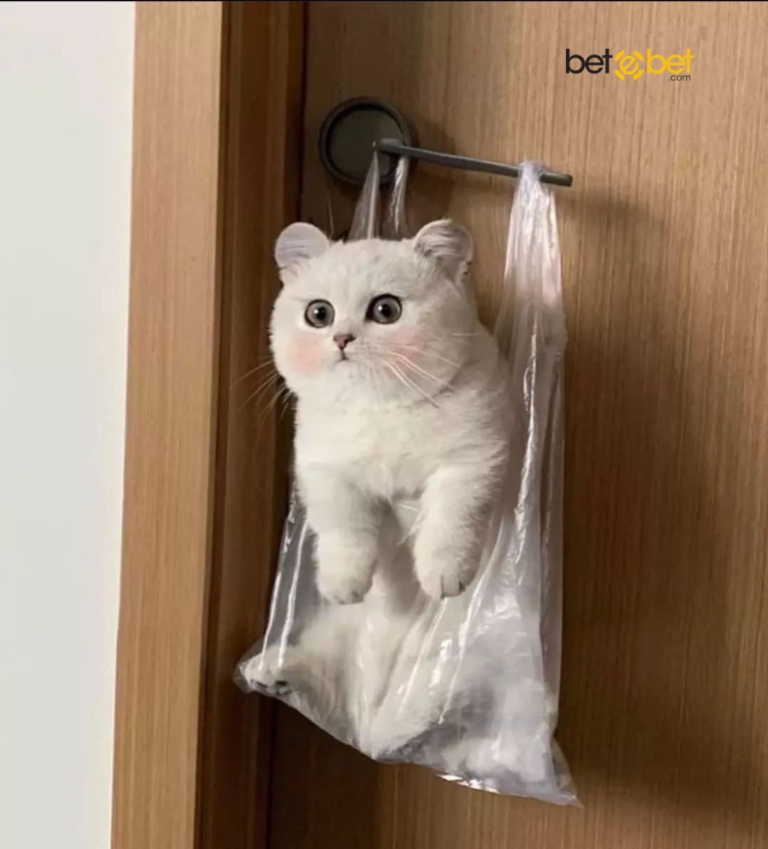 Gerçek olamayacak kadar...