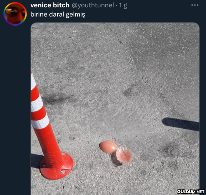venice bitch @youthtunnel...