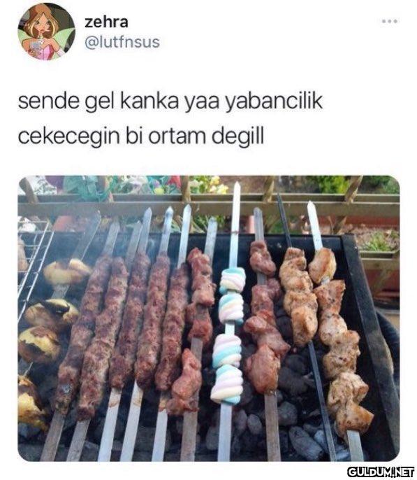 zehra @lutfnsus sende gel...