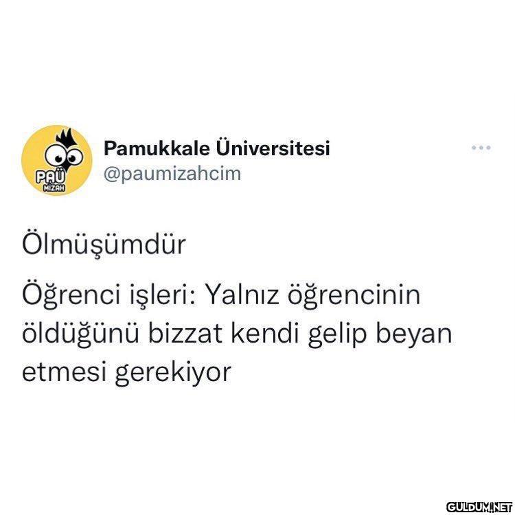 PAU MIZAH Pamukkale...