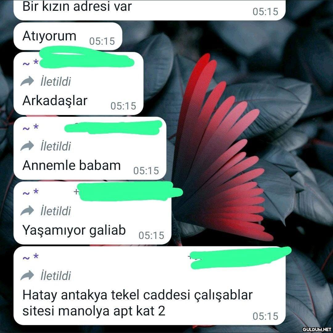 YARDIM EDİN LÜTFEN...