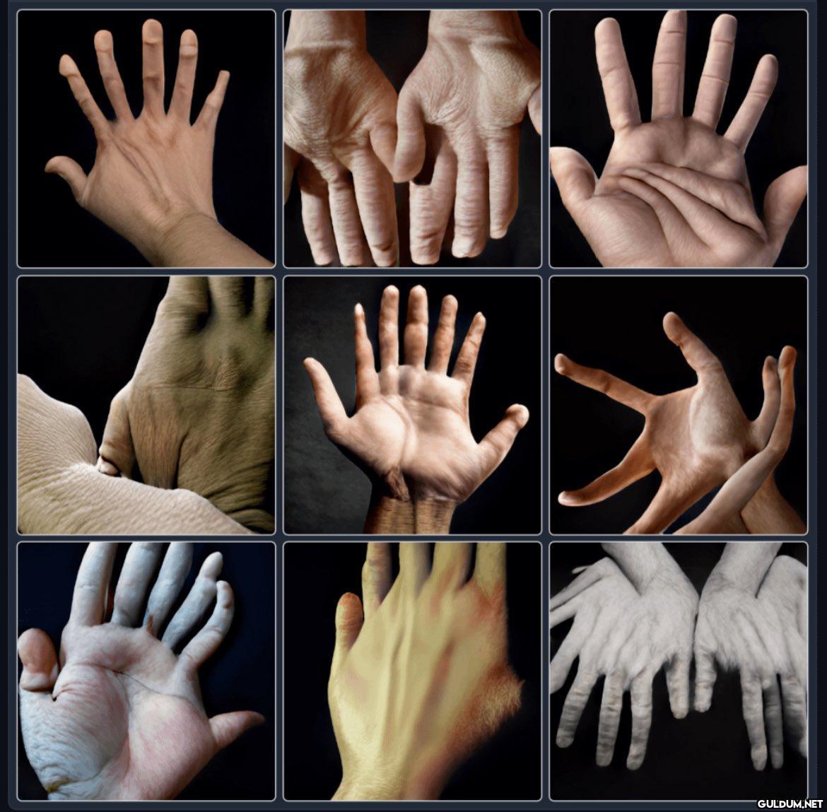 Pictures of perfect human...