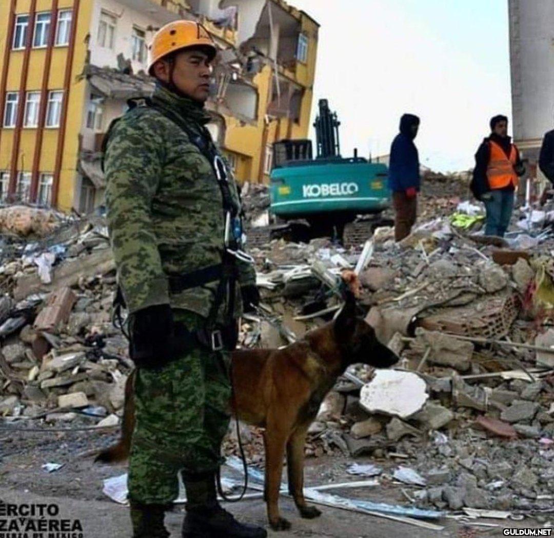 Meksika'dan Türkiye'ye...