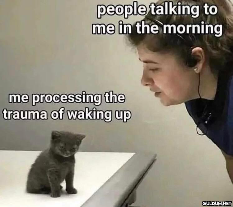 Lol yep 🤣...