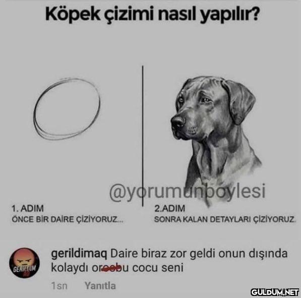 Köpek çizimi nasıl...