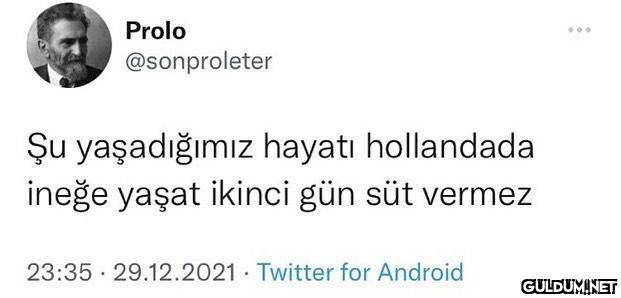 Prolo @sonproleter Şu...