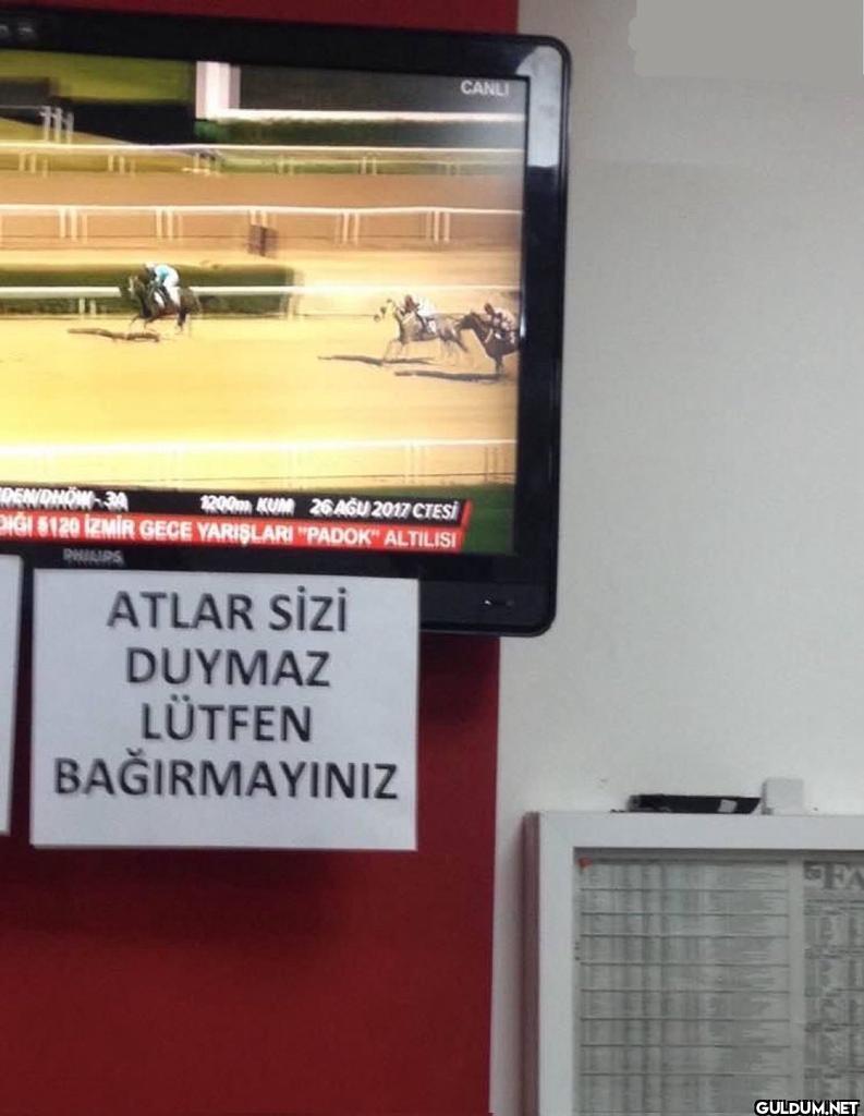 CANLI DENOHO 1200m KUM 26...