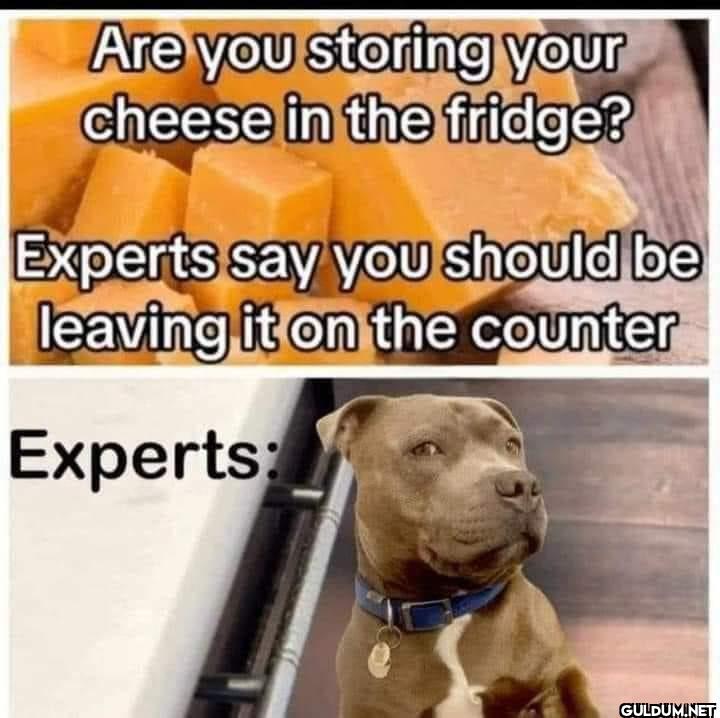 Are you storing your...