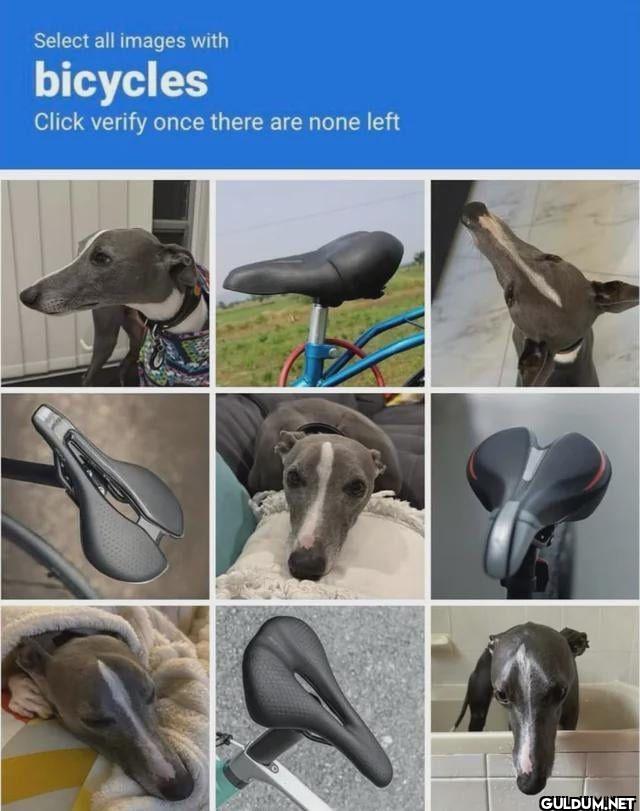 Select all images with...