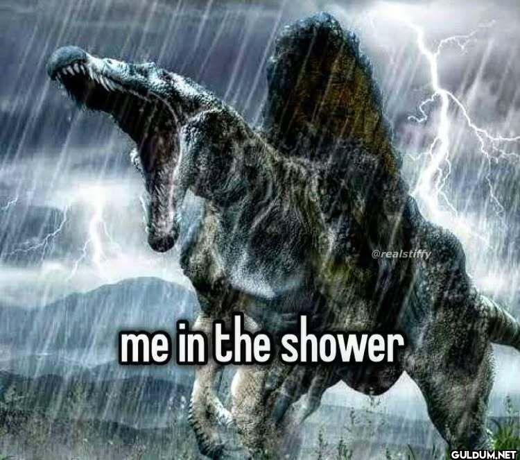 me in the shower