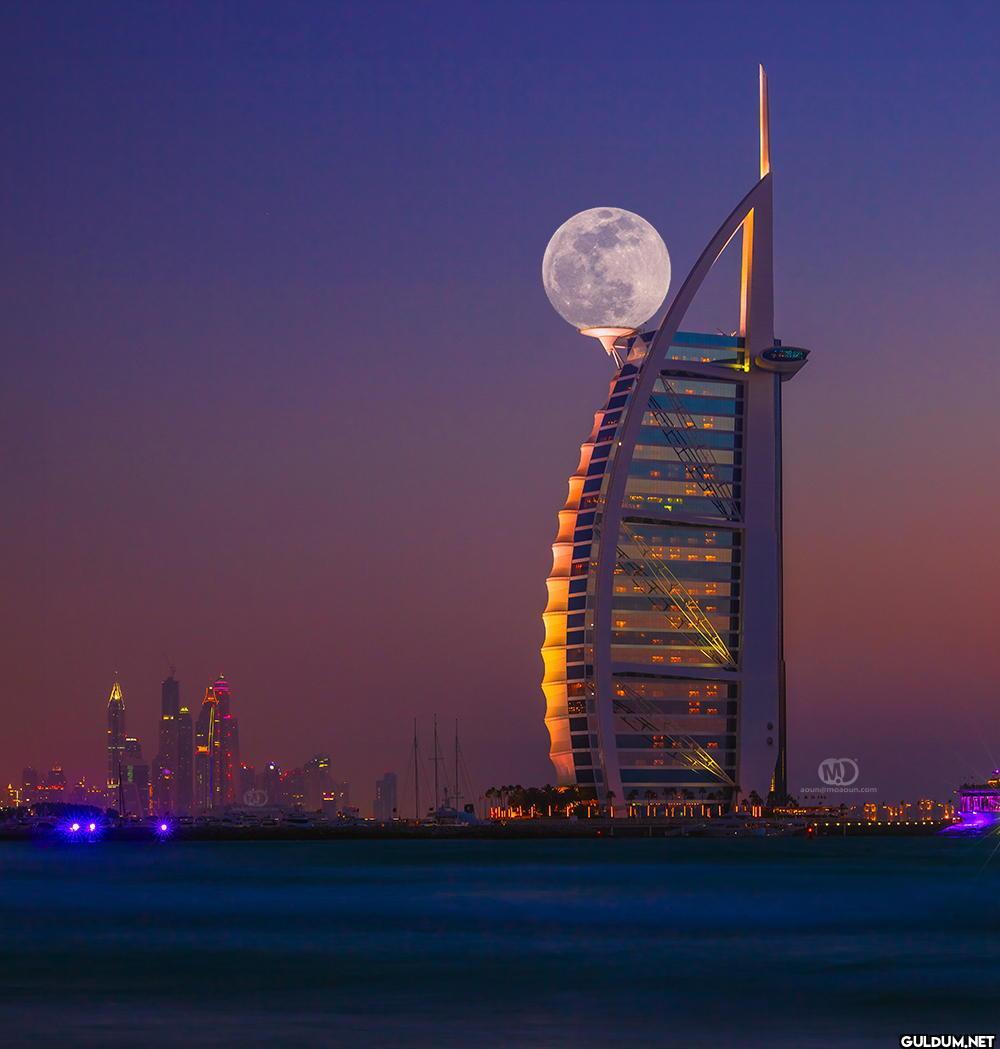 18. When the moon landed...