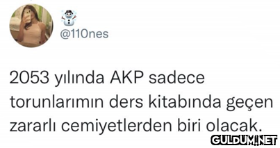 @110nes 2053 yılında AKP...