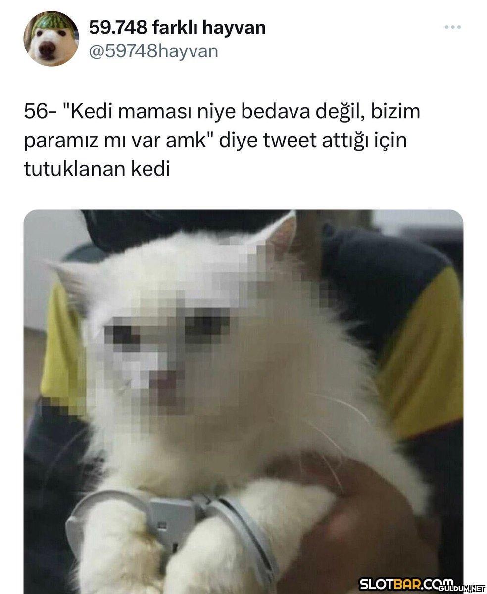59.748 farklı hayvan...