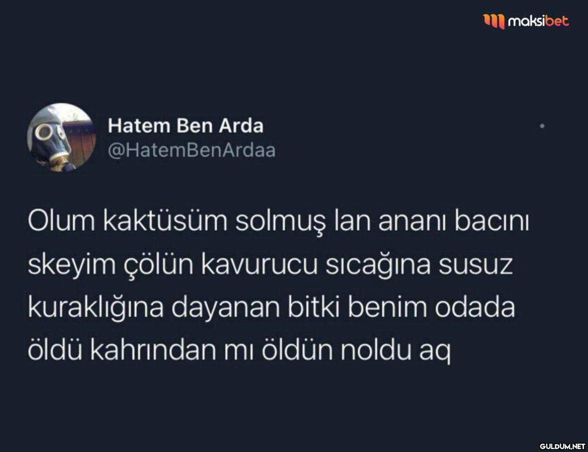 Hatem Ben Arda...