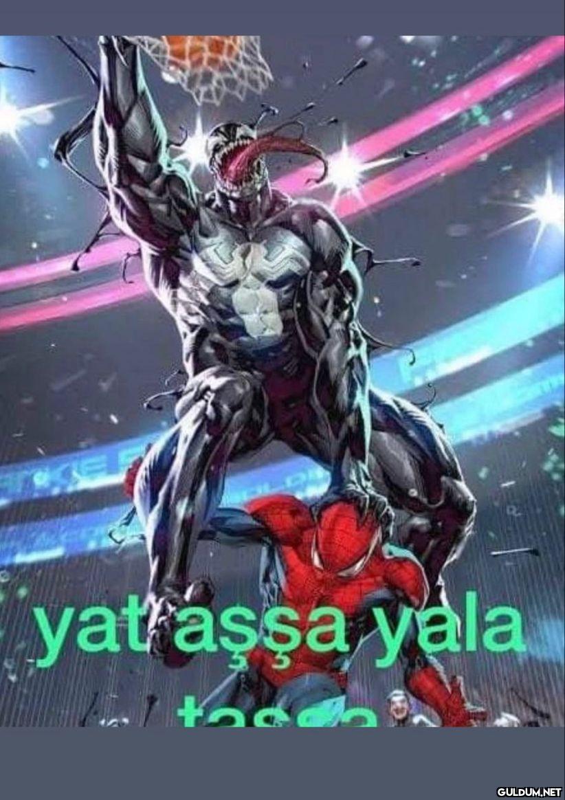 yat aşşa yala tadd   Kaynak