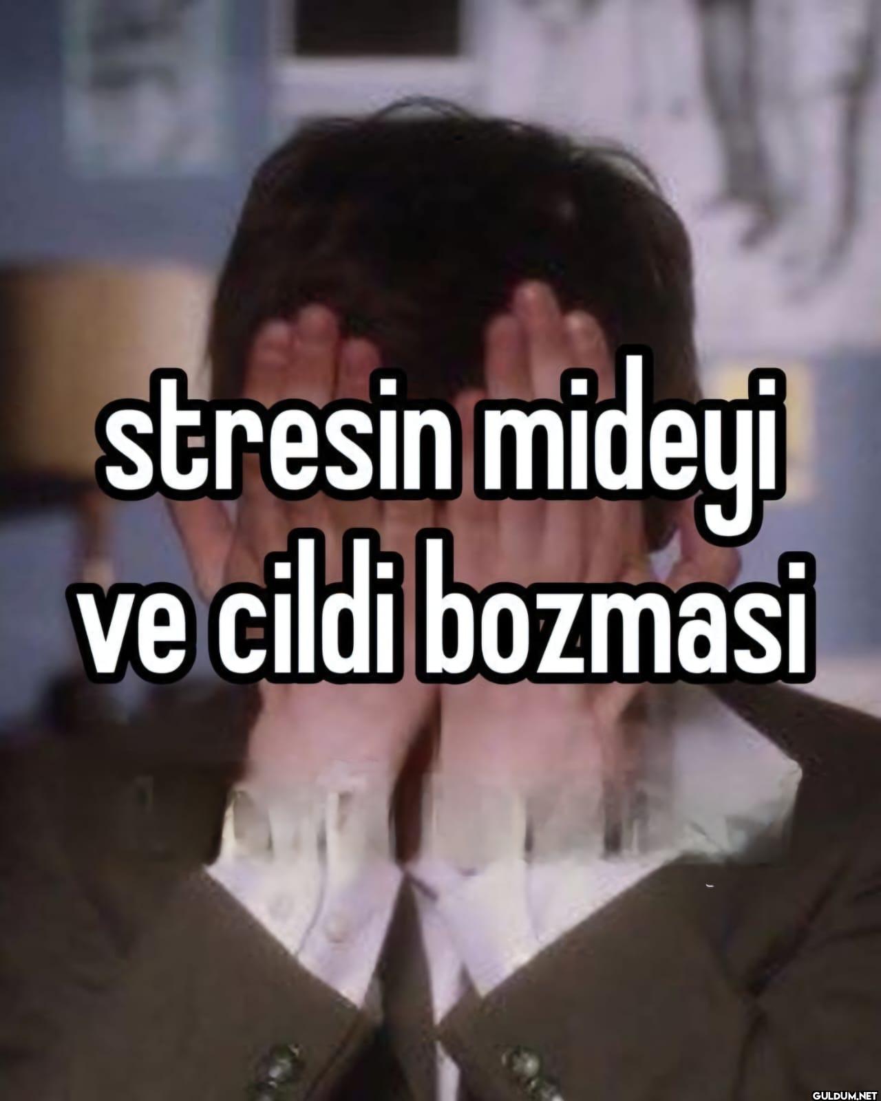 stresin mideyi ve cildi bozmasi