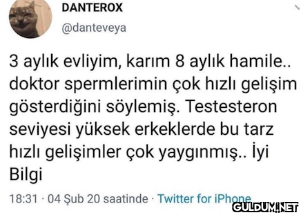 DANTEROX @danteveya 3...